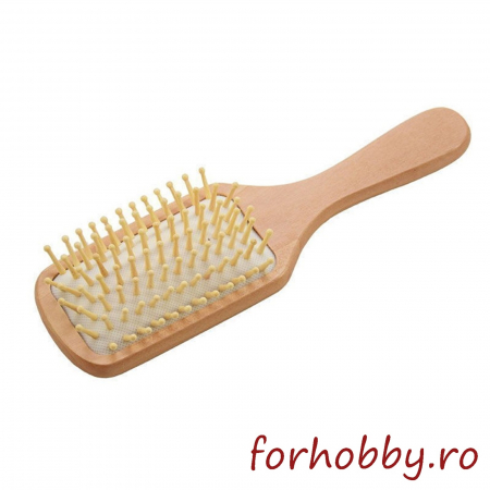perie-de-par-din-lemn-natural-dreptunghiular-22.3x6.5cm [0]