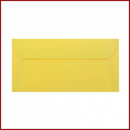 Plicuri colorate DL [1]