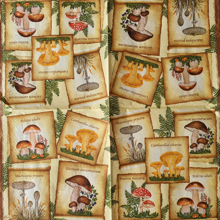 Florale, peisaje - servetel-pentru-tehnica-decoupage-ciuperci