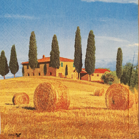 Servetele - servetel-pentru-decoupage-33x33cm-peisaje