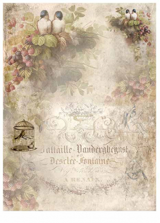 set-5-cartoane-scrapbooking-lace-dreams-itd-collection-scrap006 [11]