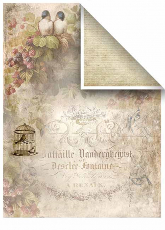 set-5-cartoane-scrapbooking-lace-dreams-itd-collection-scrap006 [12]