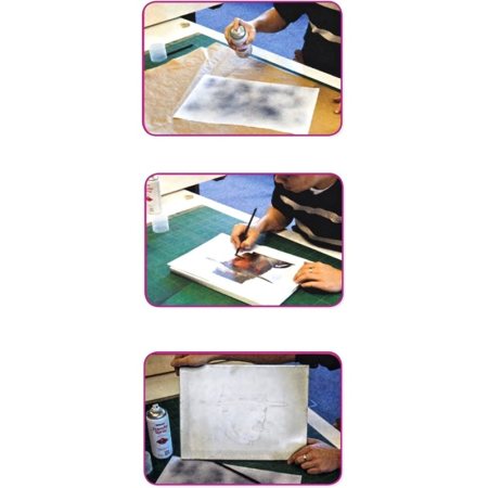 sray-transfer-imagine-ghiant [2]