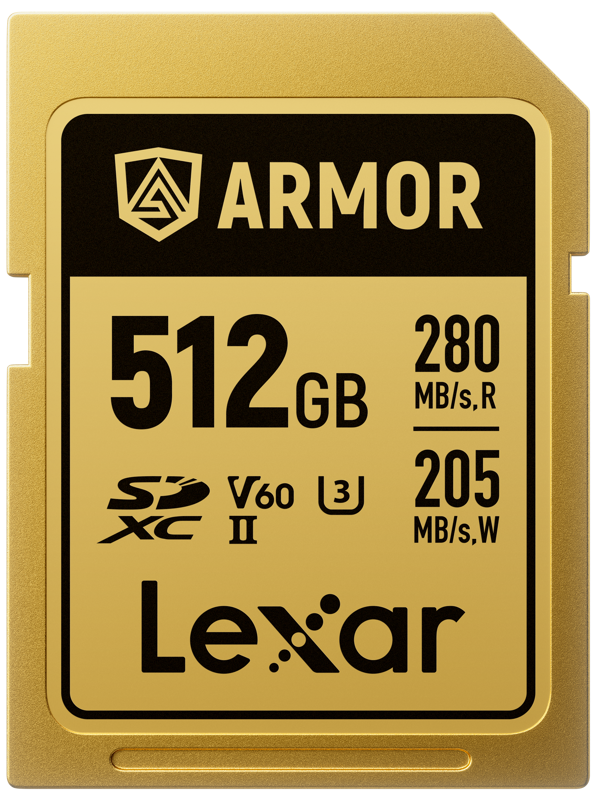 card-memorie-lexar-armor-gold-512gb-inox.jpg [55]