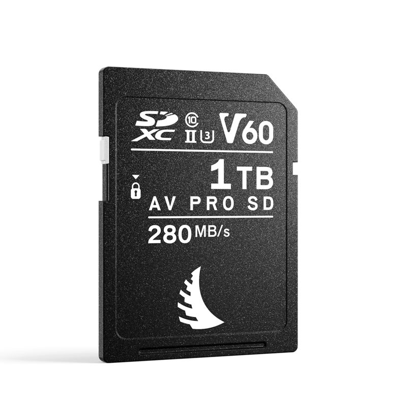card-memorie-angelbird-sdxc-av-pro-mk2-v60-1tb.jpg [54]