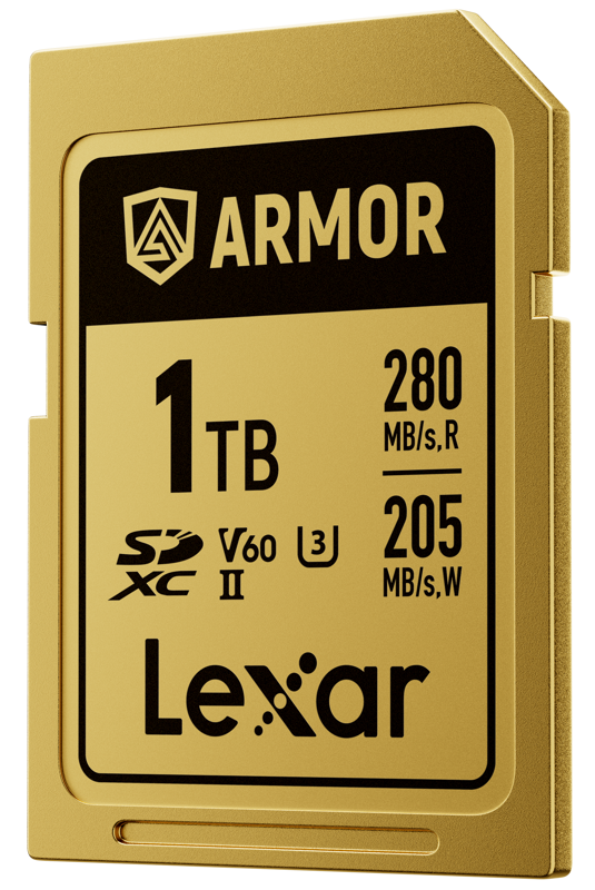 card-memorie-lexar-armor-gold-1tb-stainless-steel.jpg [50]