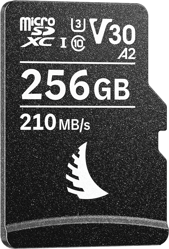 card-memorie-angelbird-microsd-av-pro-mk2-256gb.jpg [45]