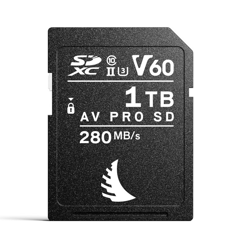 card-memorie-angelbird-sdxc-av-pro-mk2-v60-1tb.jpg [55]