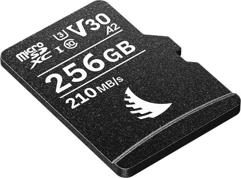 card-memorie-angelbird-microsd-av-pro-mk2-256gb.jpg [46]