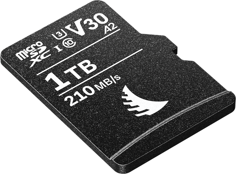 card-memorie-angelbird-microsd-av-pro-mk2-1tb.jpg [23]