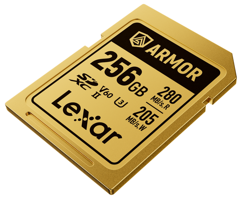 Card de memorie Lexar ARMOR Gold SDXC UHS-II V60 256GB, carcasă din oțel inoxidabil auriu, vizualizând pinii UHS-II. [15]