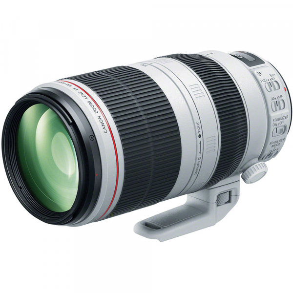 Canon EF 100-400mm f/4.5-5.6L IS II USM [2]