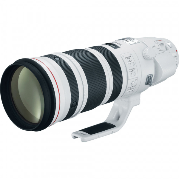 Canon EF 200-400mm f/4L IS USM EXTENDER 1.4x [2]