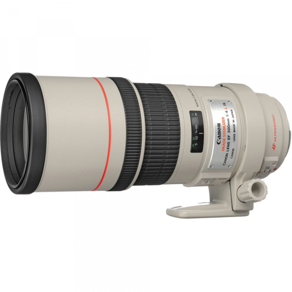 Canon EF 300mm f/4 L IS USM [2]