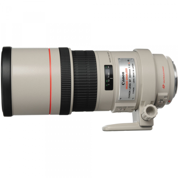 Canon EF 300mm f/4 L IS USM [3]