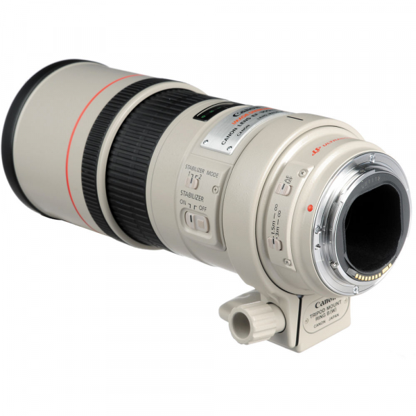 Canon EF 300mm f/4 L IS USM [6]