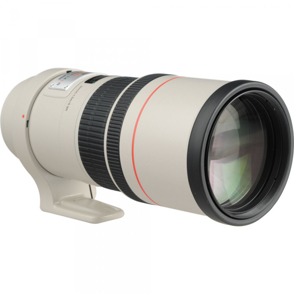 Canon EF 300mm f/4 L IS USM [5]