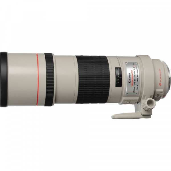 Canon EF 300mm f/4 L IS USM [4]