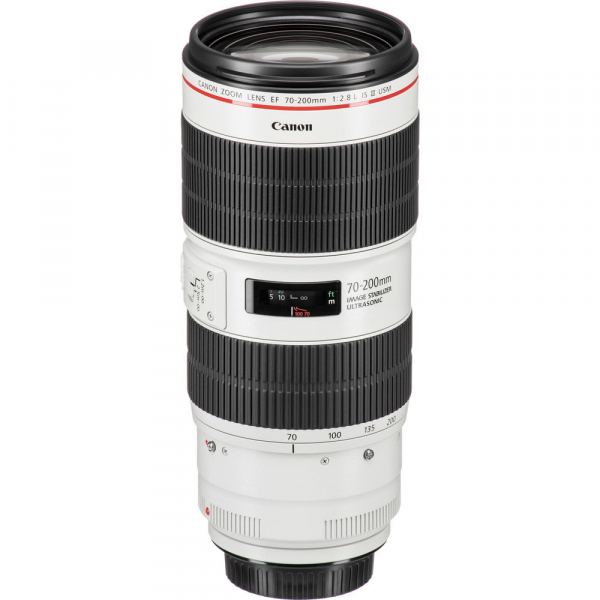 Canon EF 70-200mm f/2.8L IS III USM [7]