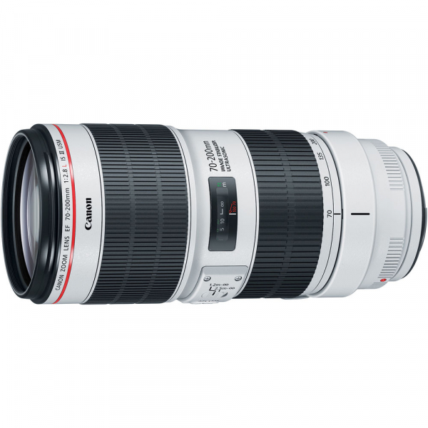 Canon EF 70-200mm f/2.8L IS III USM [2]