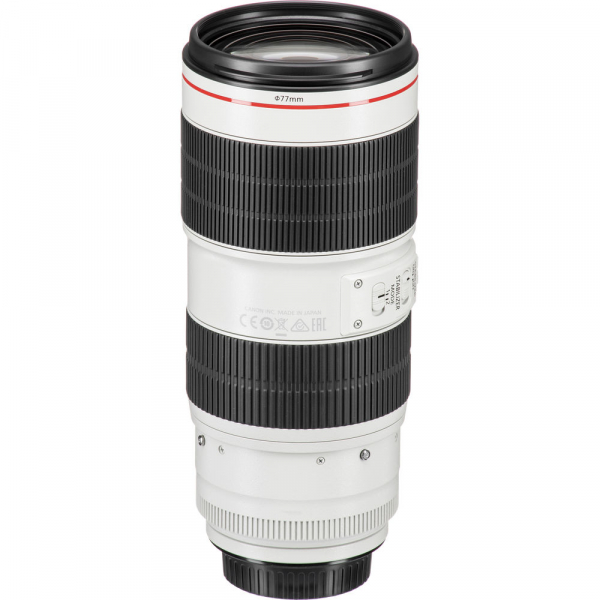 Canon EF 70-200mm f/2.8L IS III USM [4]