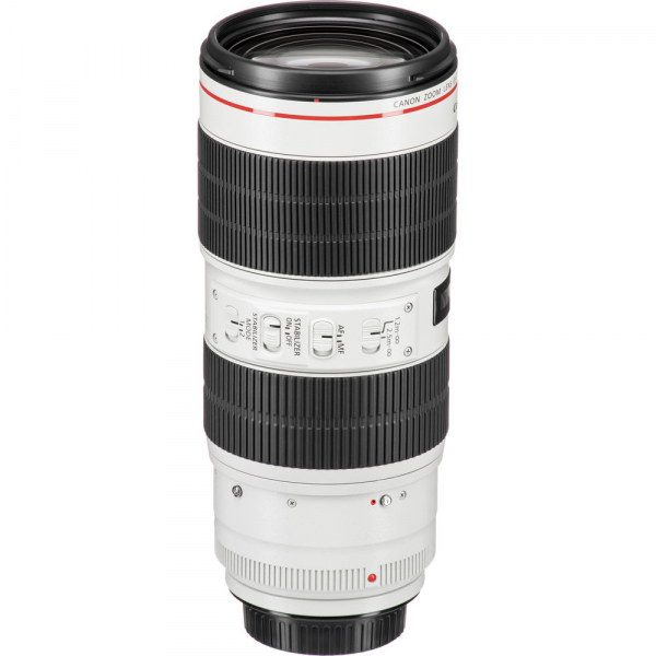 Canon EF 70-200mm f/2.8L IS III USM [5]