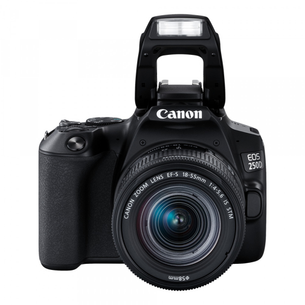 Canon EOS 250D negru + Canon EF-S 18-55mm f/4-5.6 IS STM [6]