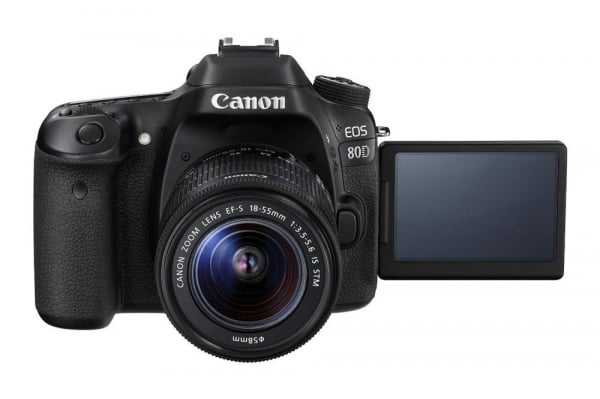 Canon EOS  80D + Canon 18-55mm IS STM [1]