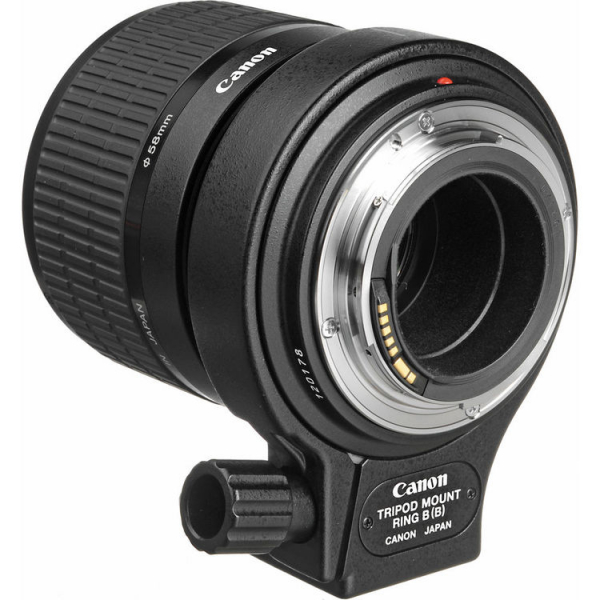 Canon MP-E 65mm f/2.8 1-5x Macro Photo (focus manual) [3]