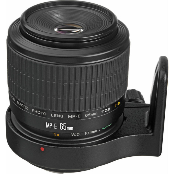 Canon MP-E 65mm f/2.8 1-5x Macro Photo (focus manual) [2]