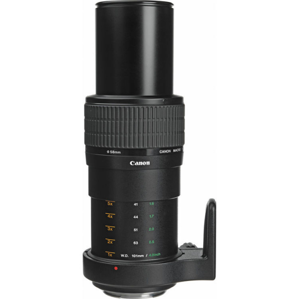 Canon MP-E 65mm f/2.8 1-5x Macro Photo (focus manual) [4]