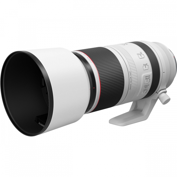 Canon RF 100-500mm f/4.5-7.1 L IS USM – Super-teleobiectiv profesional pentru wildlife, sport și natură [6]
