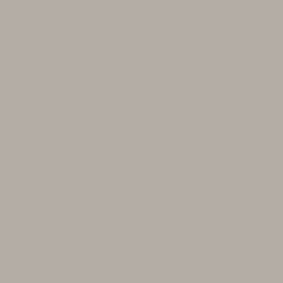 Colorama  Fundal hartie 2.72m x 11m - PLATINUM - PL [2]