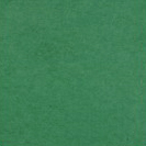 Dorr Fundal din hartie 2.72m x 11m, Photo Green (346) [1]