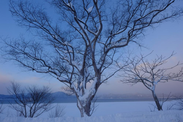 Fujifilm XF 10-24mm f/4 R O.I.S. [4]