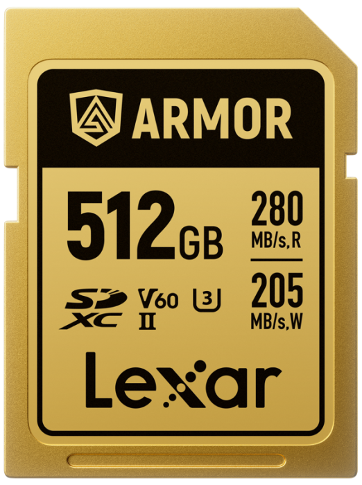 card-memorie-lexar-armor-gold-512gb-inox.jpg [21]