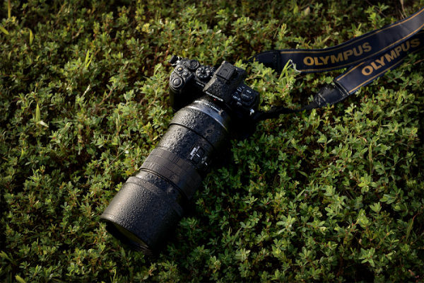 Olympus M.ZUIKO DIGITAL ED 300mm 1:4 IS PRO [6]