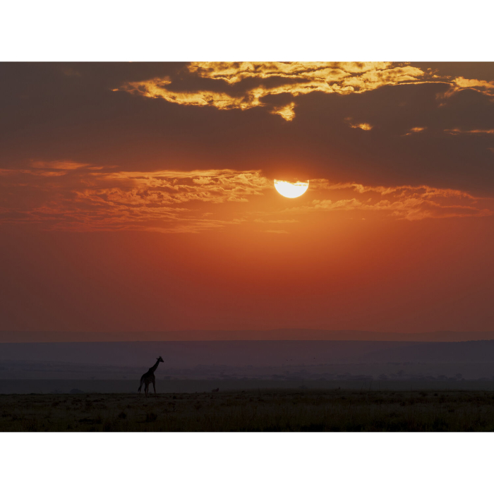 om-system-mzuiko-50-200mm-f2-8-is-pro-white-telefoto.jpg [7]