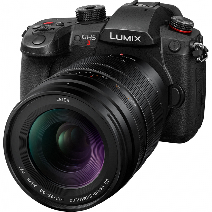 Panasonic Leica DG Vario-Summilux 25-50mm f/1.7 ASPH [8]