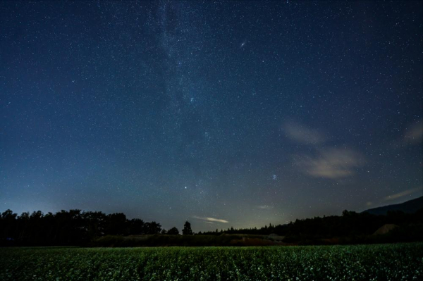 Sigma 14-24mm f/2.8 DG DN (A) - Obiectiv Mirrorless Montura Sony-E [6]
