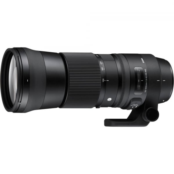 Sigma 150-600mm f/5-6.3 DG OS HSM Nikon [S] Sport [1]