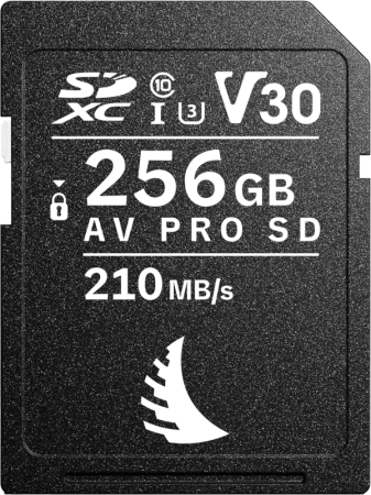 card-memorie-angelbird-av-pro-sd-mk2-256gb-v30.jpg [7]