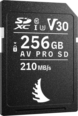 card-memorie-angelbird-av-pro-sd-mk2-256gb-v30.jpg [6]