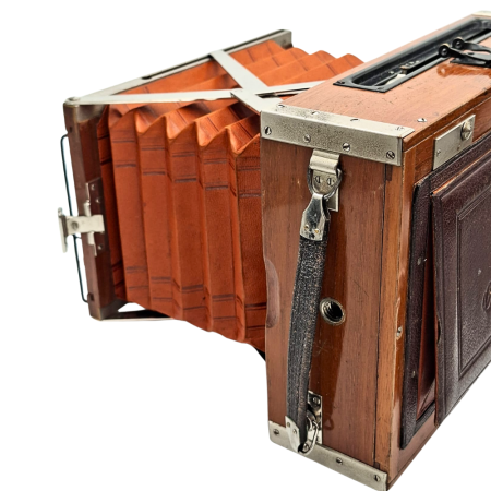 ontessa-nettel-deckrullo-tropical-13x18-fata.jpg [3]