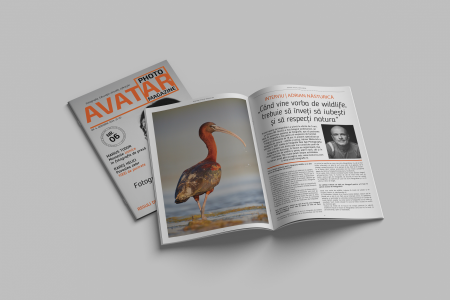 avatar-photo-magazine-noiembrie-2024.jpg [3]