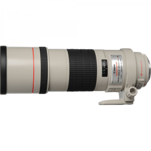 Canon EF 300mm f/4 L IS USM [3]
