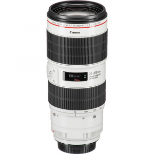 Canon EF 70-200mm f/2.8L IS III USM [6]