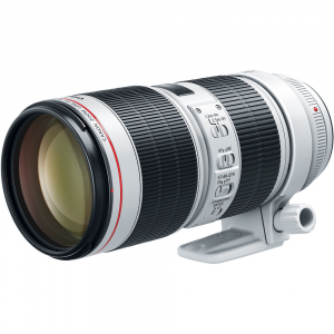 Canon EF 70-200mm f/2.8L IS III USM [5]