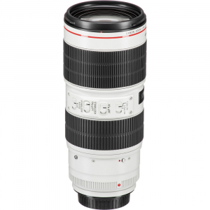 Canon EF 70-200mm f/2.8L IS III USM [4]