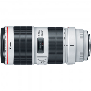 Canon EF 70-200mm f/2.8L IS III USM [2]